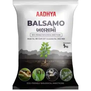 Balsamo