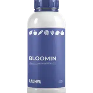 Bloomin