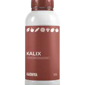 Kalix