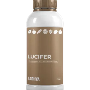 Lucifer