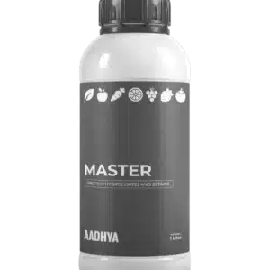 Master