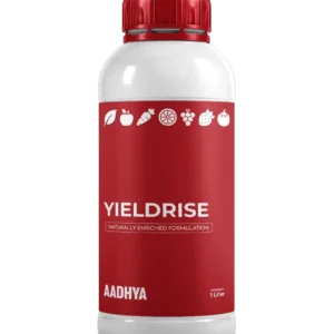 Yieldrise