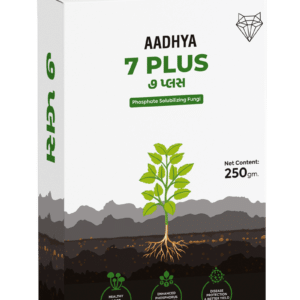 Aadhya 7 Plus